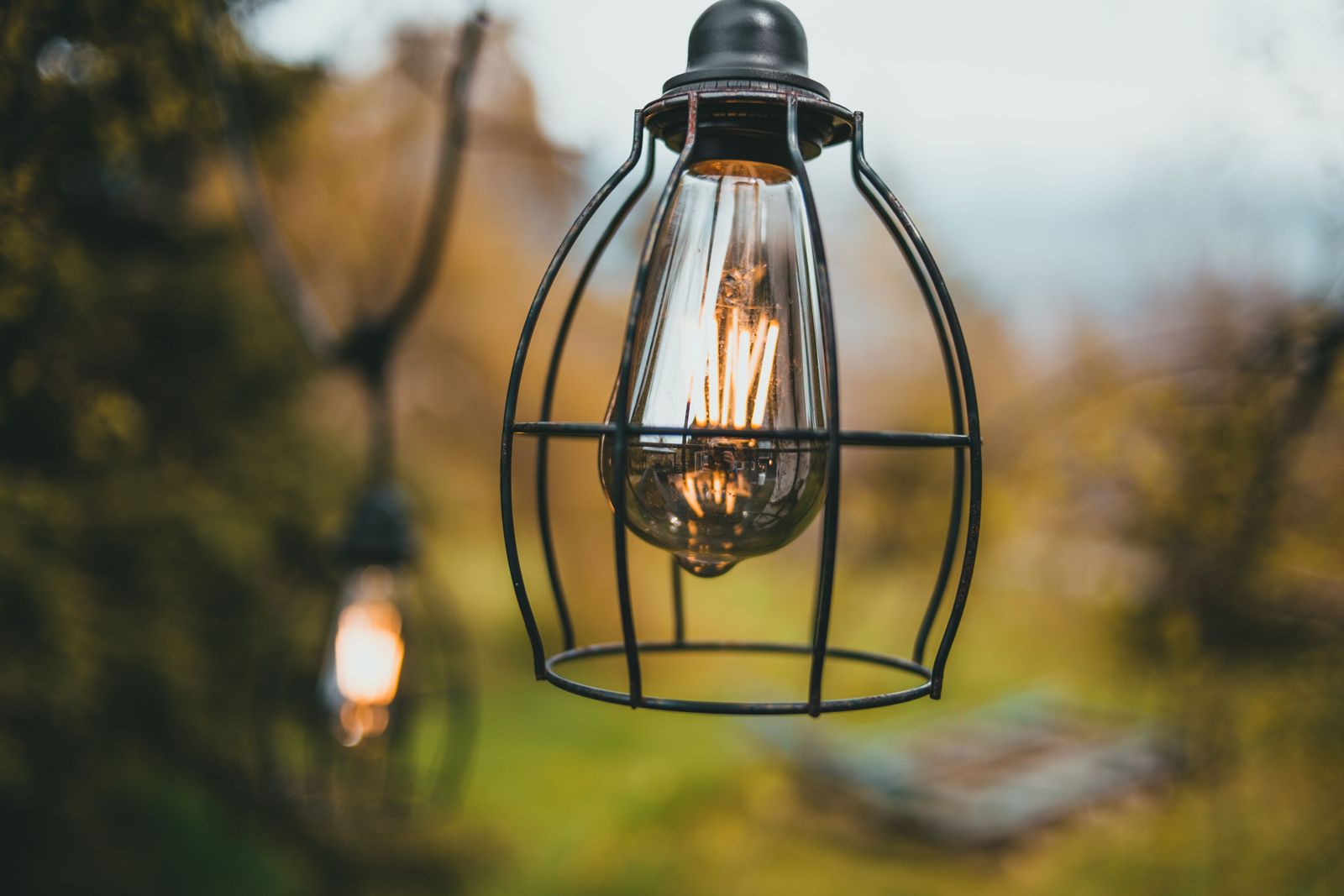 Caged filament bulb light hanging in an outdoor garden