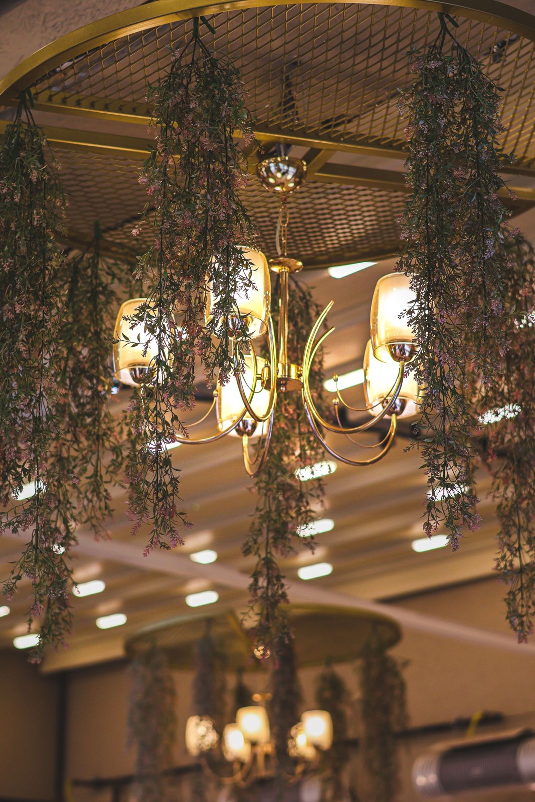 Chandelier surrounded by trailing greenery