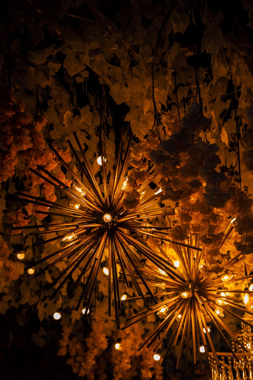 Amber starburst fixtures among hanging leaves
